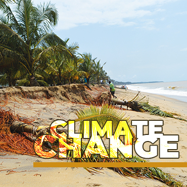 Resilience of Coastal Areas to Climate Change
