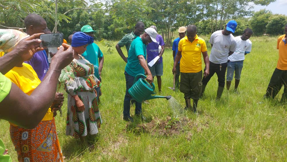 Community Tree Planting Event Held at Bayive