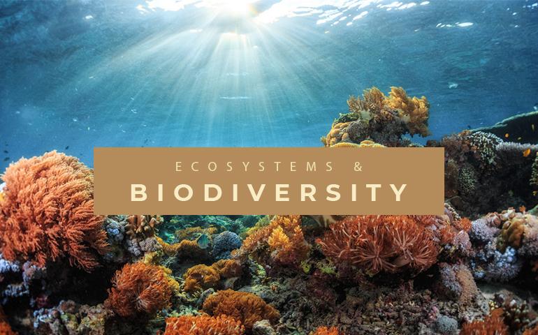ecosystems and biodiversity